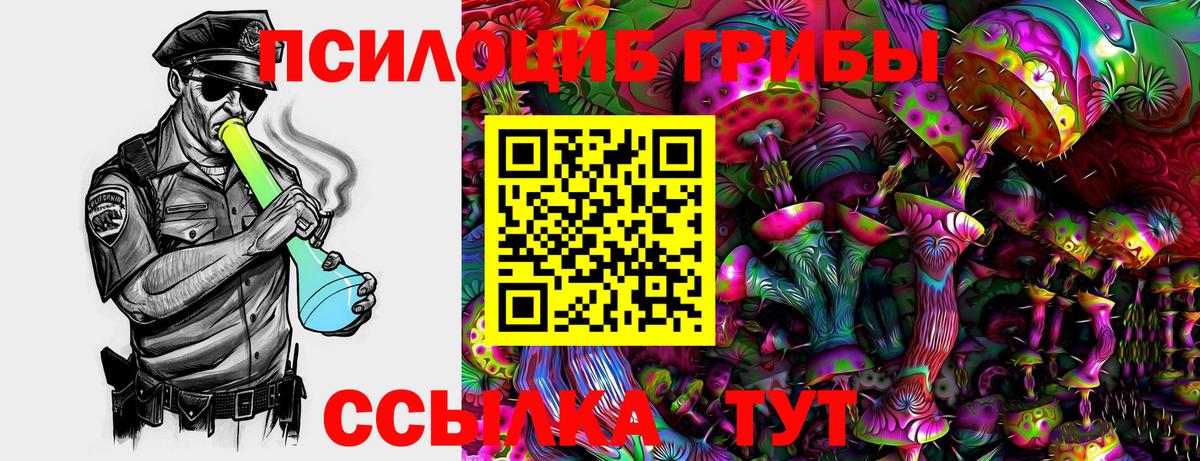 Бузулук  Галлюциногенные грибы ЛСД  Вход с VPN 