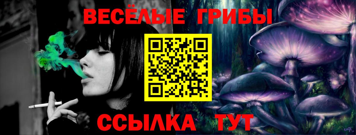 Галлюциногенные грибы Cubensis Бузулук